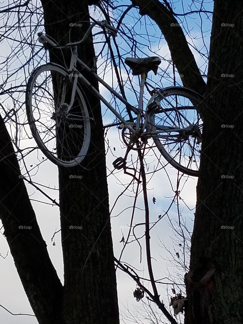 ghost bicycle