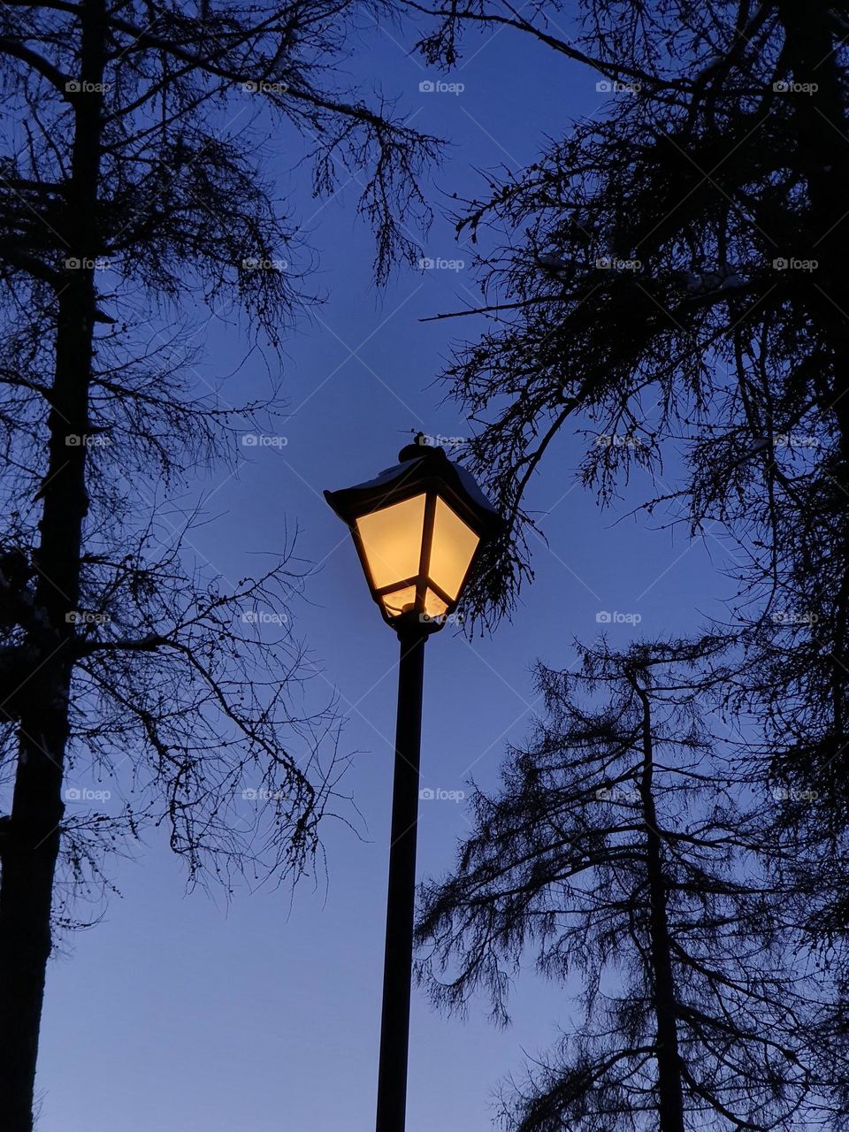 Lamp is a compass for the right way at night.