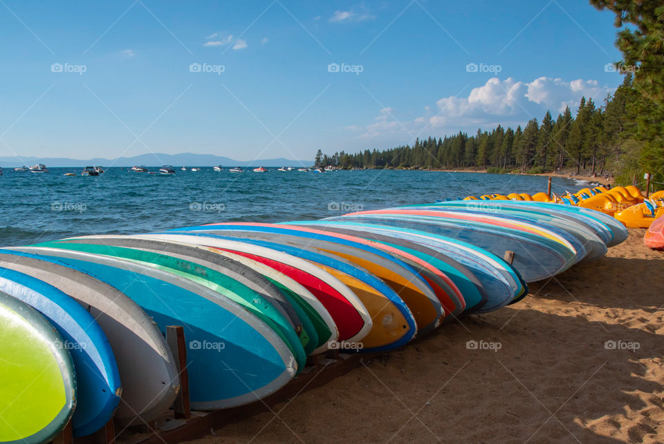 Paddle boards lined up next to Lake Tahoe 