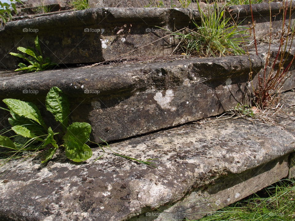 The remains of steps to an old castle on the grounds of Castle Howard in the English countryside. 