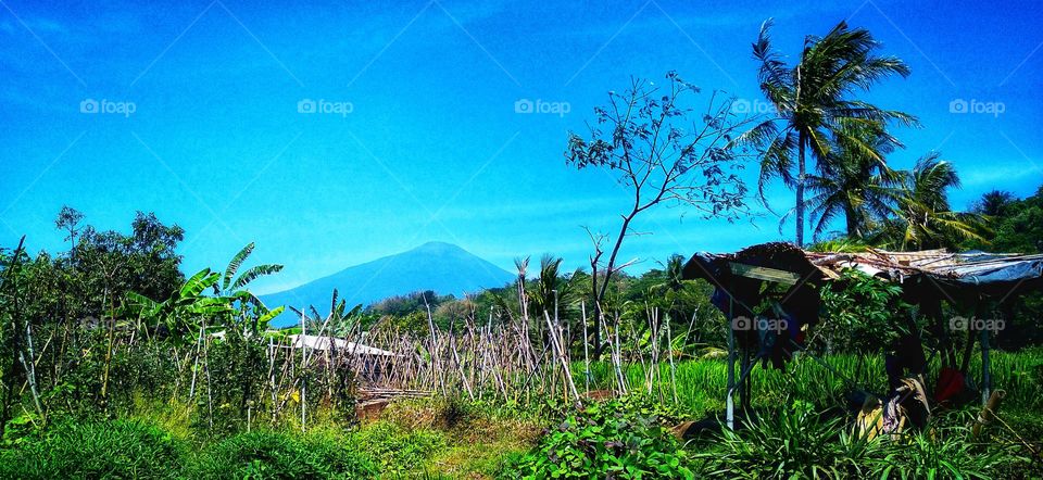 From a distance you can see a beautiful mountain