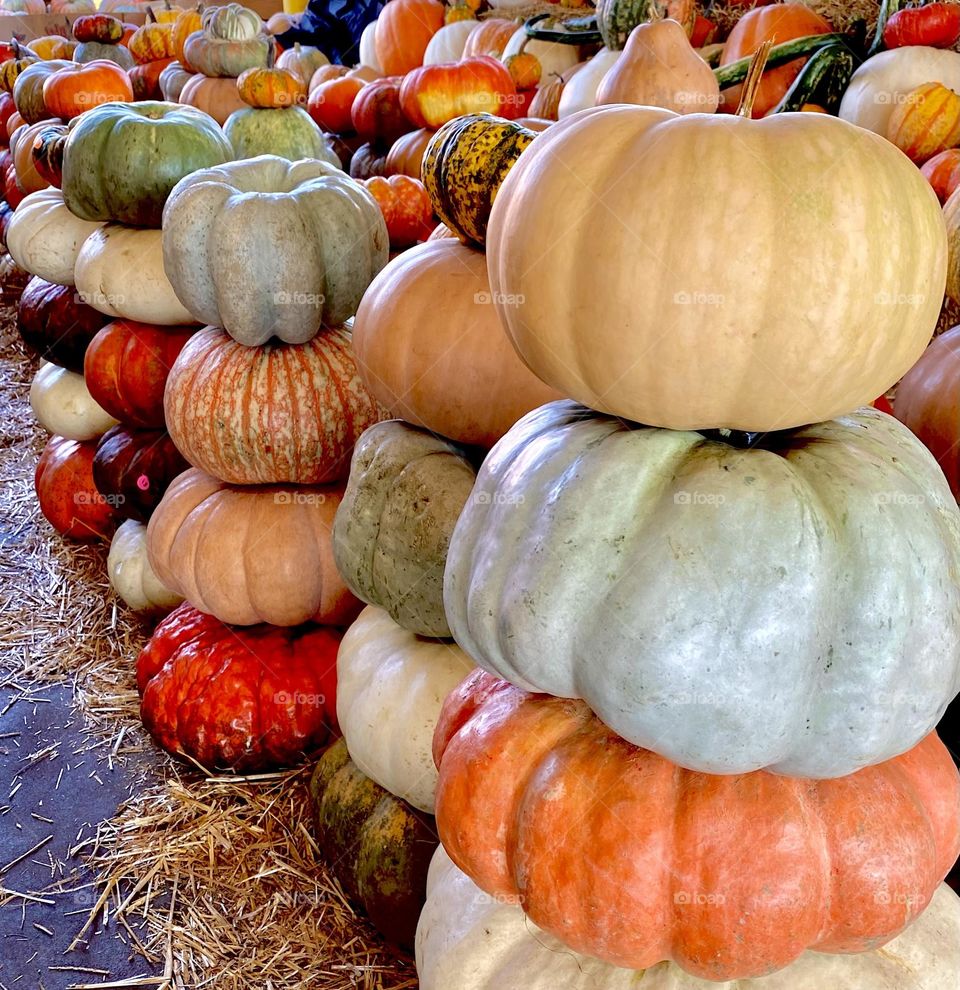 Fall pumpkin stacks at Farmers Market 