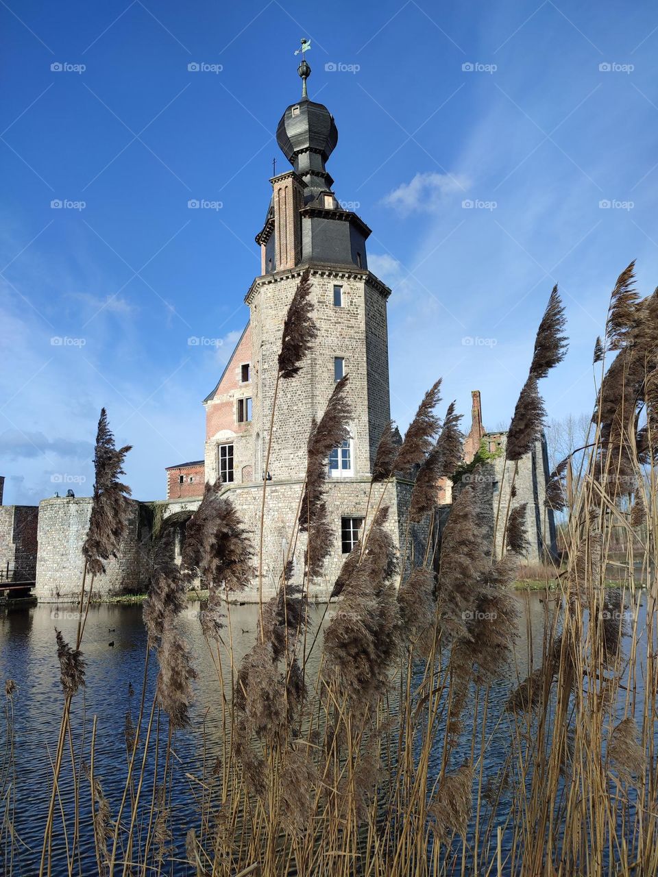 Visit of the castle of Havré, Hainaut