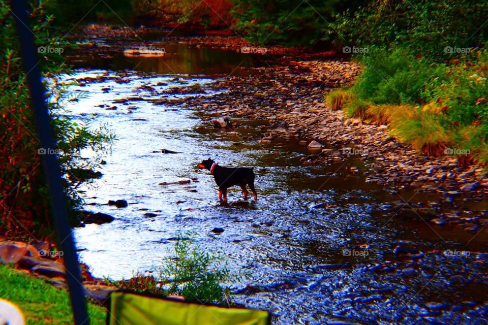 No Person, Water, Fall, Outdoors, River