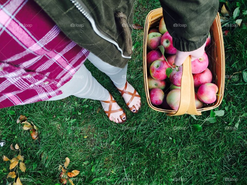 Woman holding basket with apples on grassy field