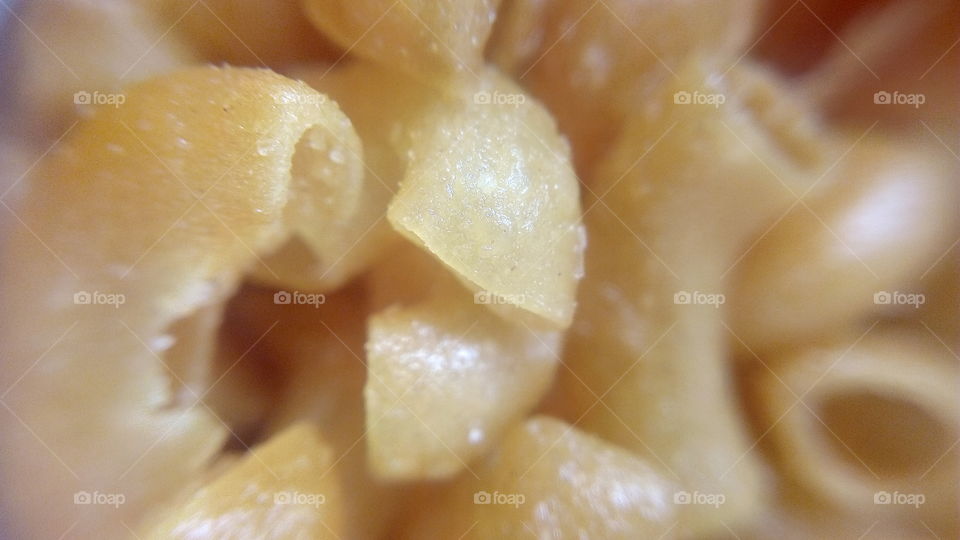 macaroni bunny_kookie, kress and kriuk