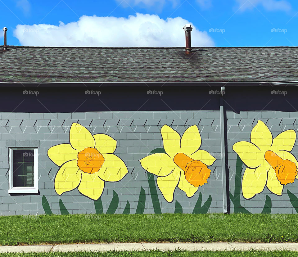 Daffodils mural… 