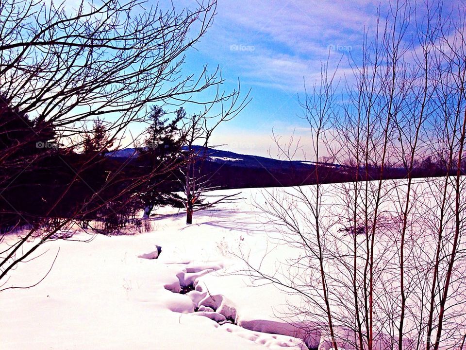 The way life should be