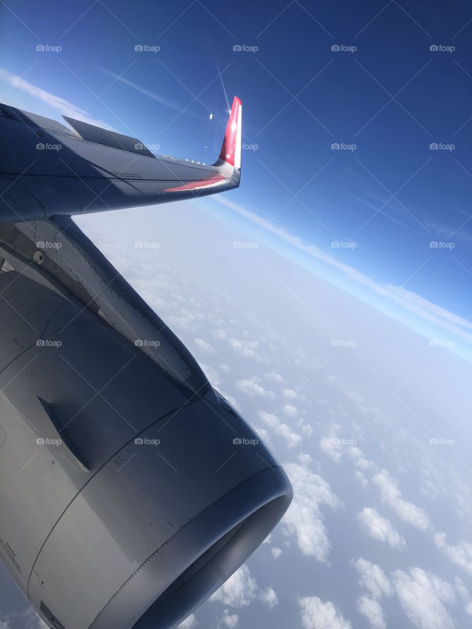 Flight view