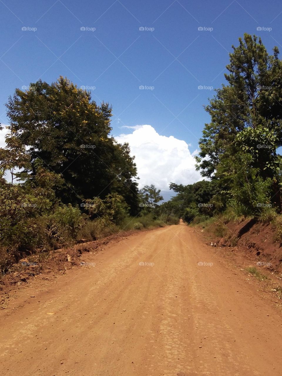 Kilema Road, found in Moshi Rural, Tanzania
Jan 14, 2022
12:44pm