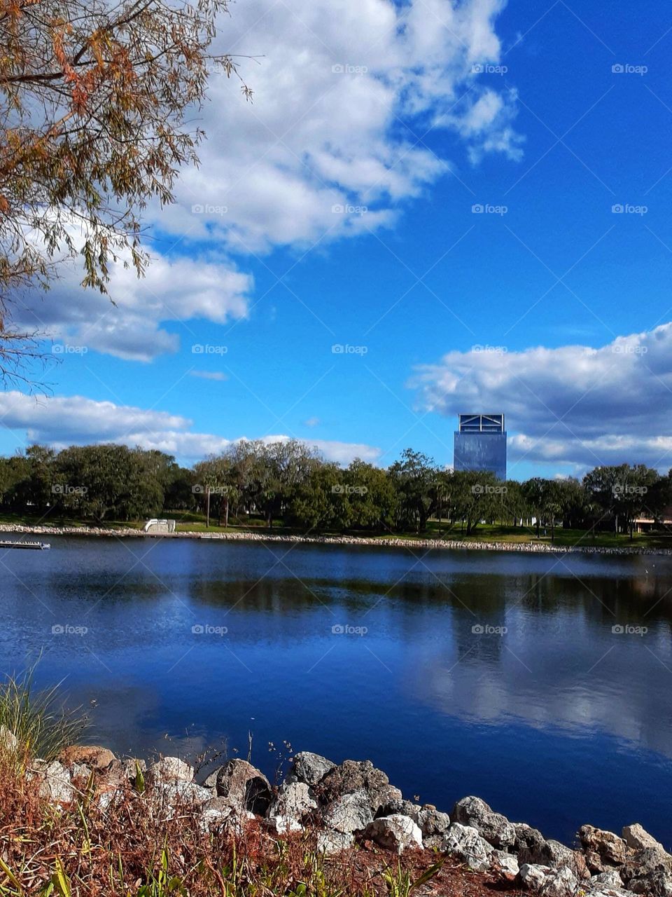 Water scape of the lake and shoreline at Cranes Roost Park in Altamonte Springs, Florida. On the opposite shore is a building called the Eyesore on I4. This building is unfinished for 20+ years.