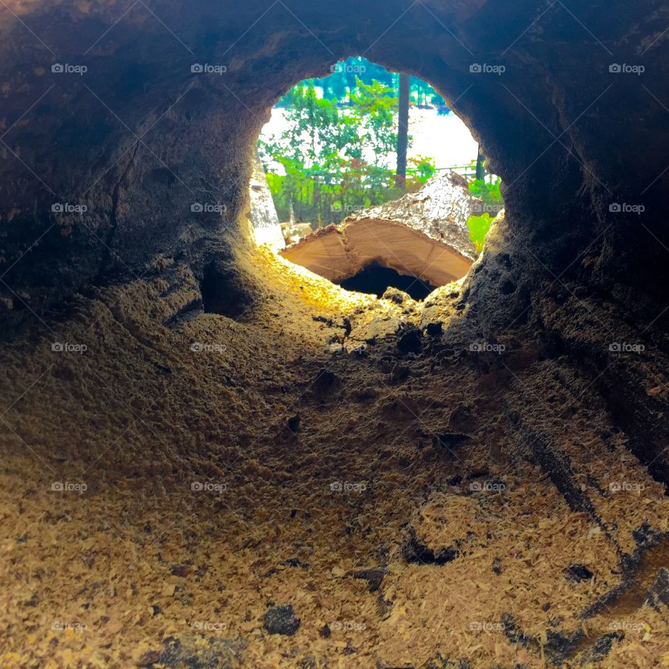 Looking threw the hallow