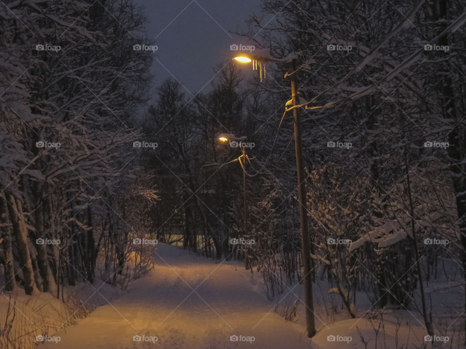 Street through the woods after a heavy snowstorm