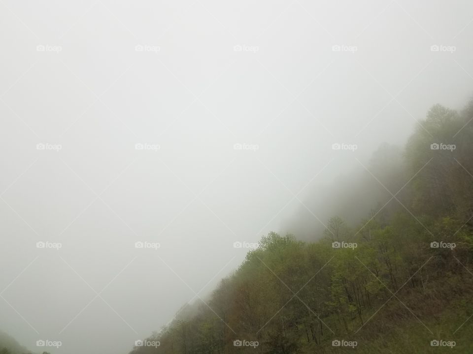 Carolina Mountain Fog