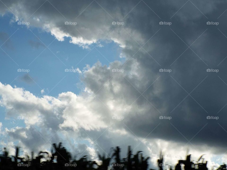 Clouds in the Sky way up High