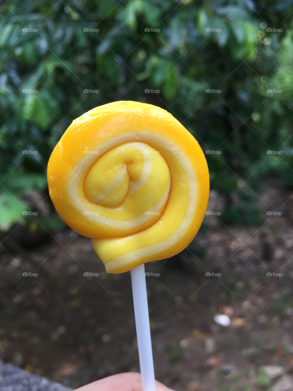Lollypop 🍭My child’s favourite snack 
