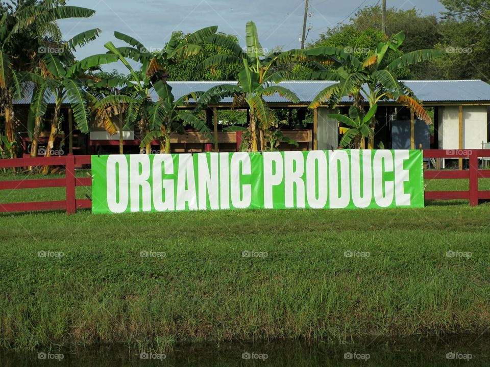 Organic Produce sign