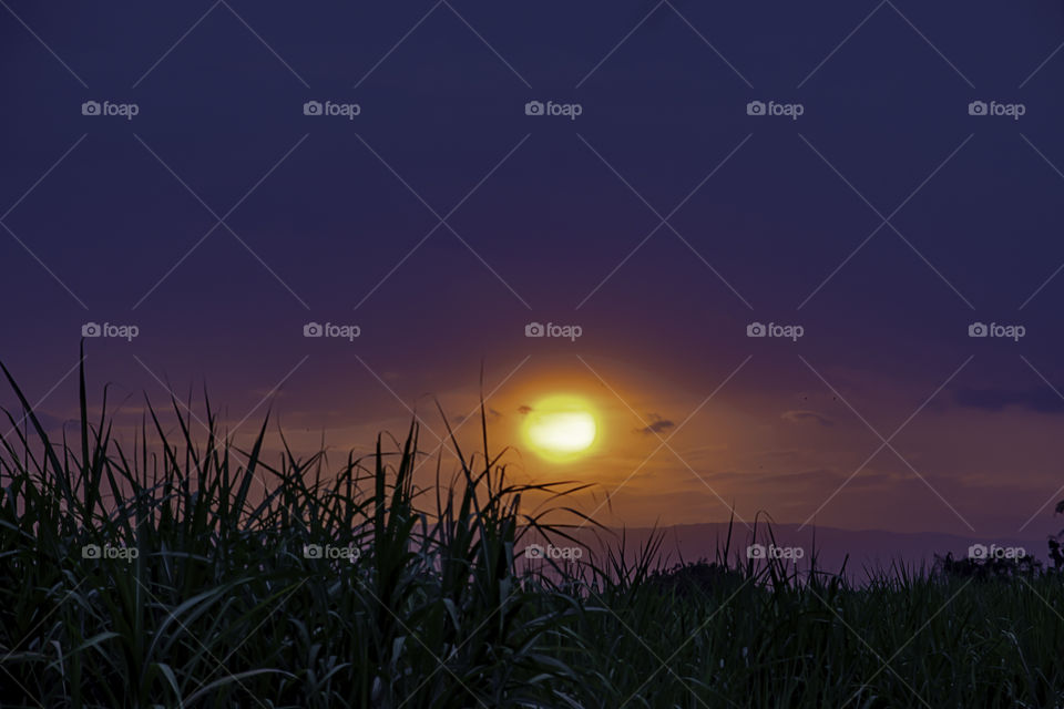 Sunset in the evening after the grass and the mountains.