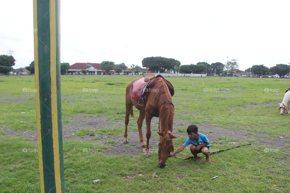 boy with the horse