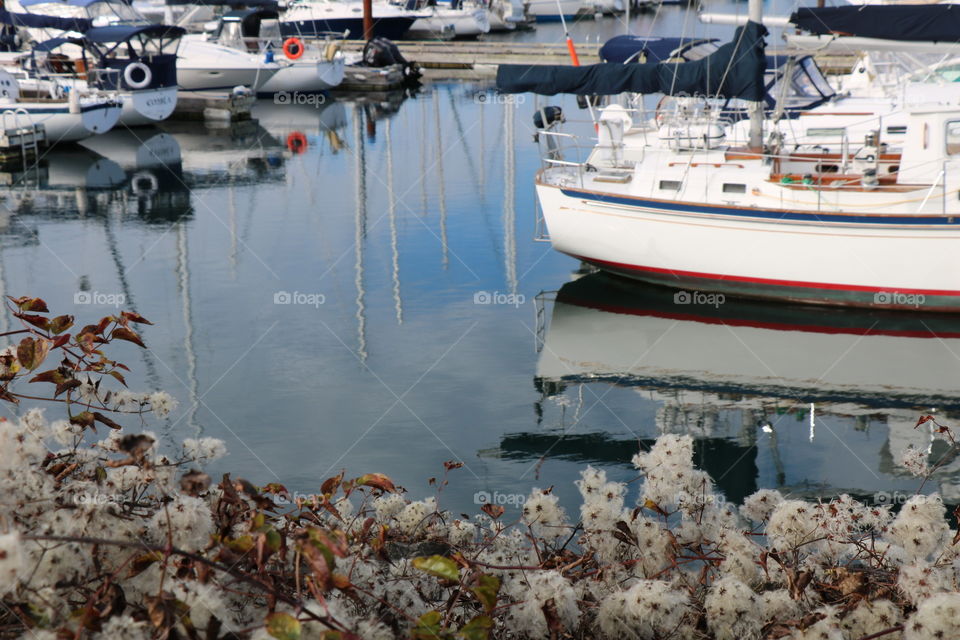 By the harbour 