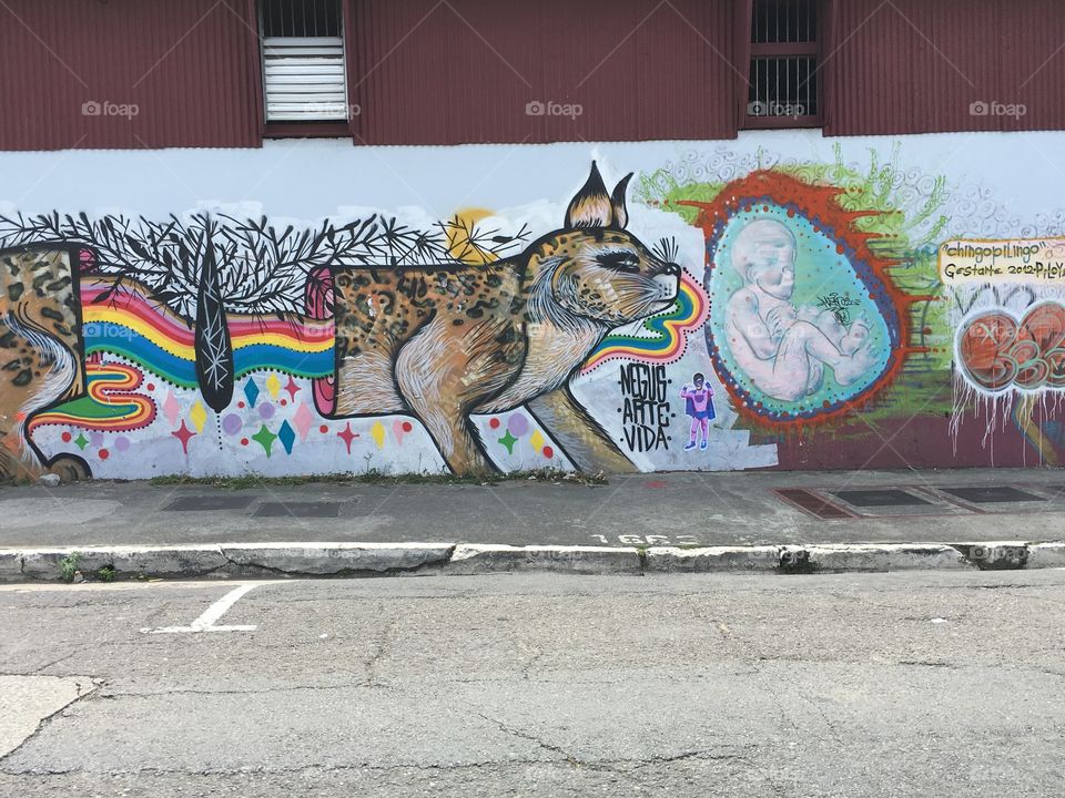 Street art Costa Rica 