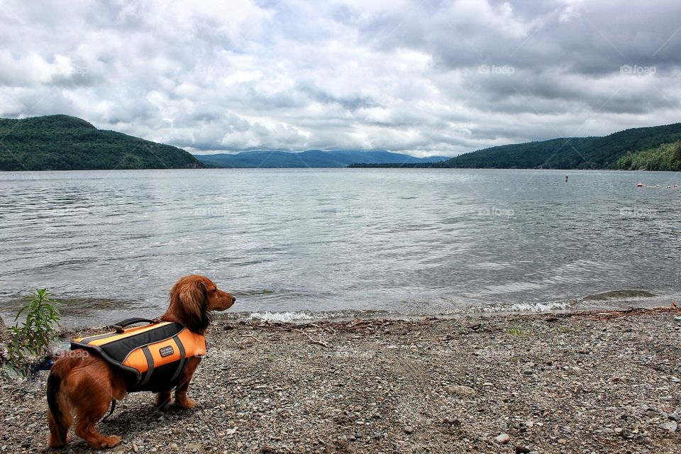 on the lake