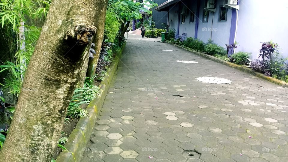 street for walk