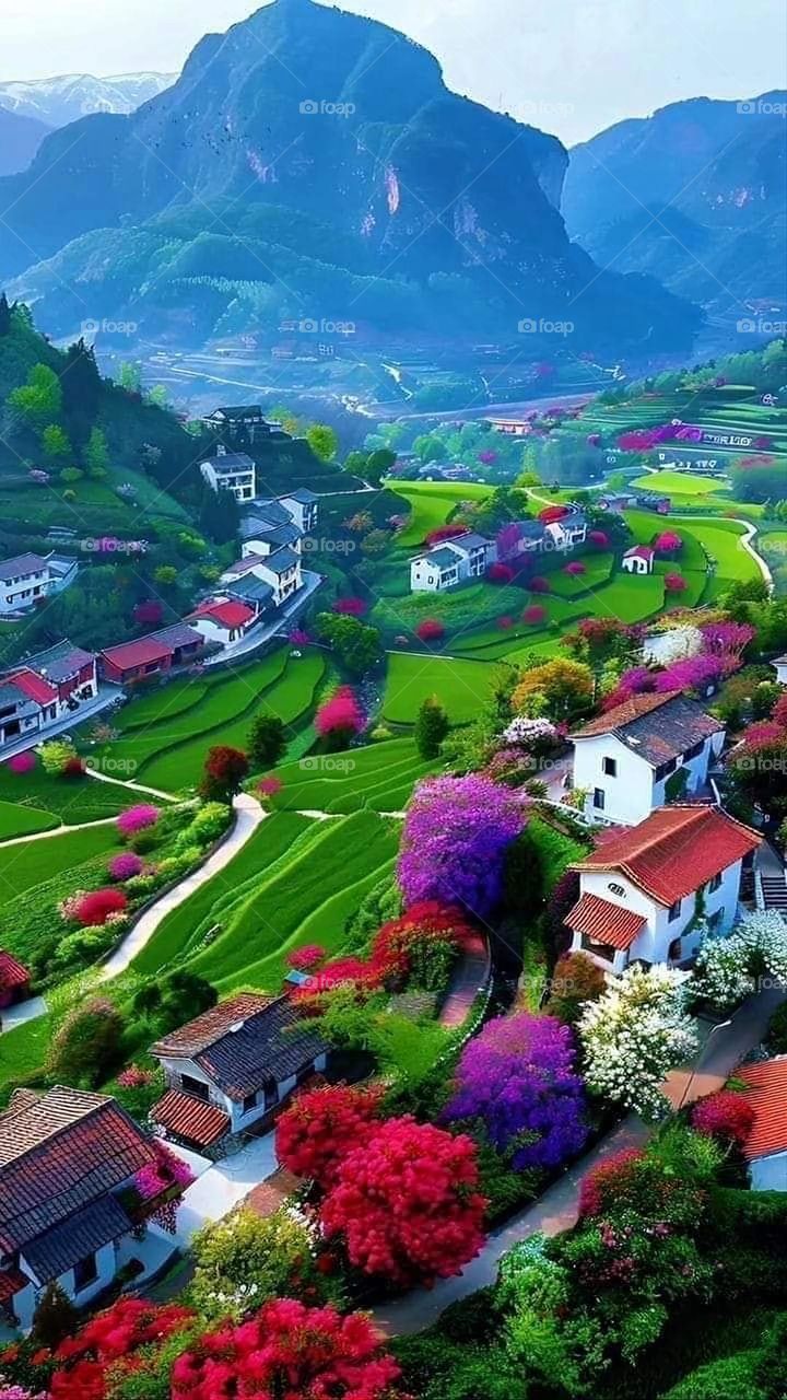 Glory be to God, the magnificent and picturesque view and the natural green trees are a view that is nothing more wonderful than it