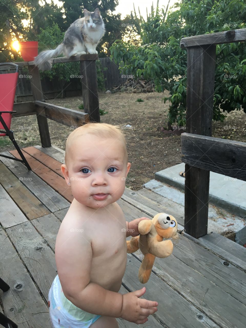 Child, Baby, People, Toddler, Portrait