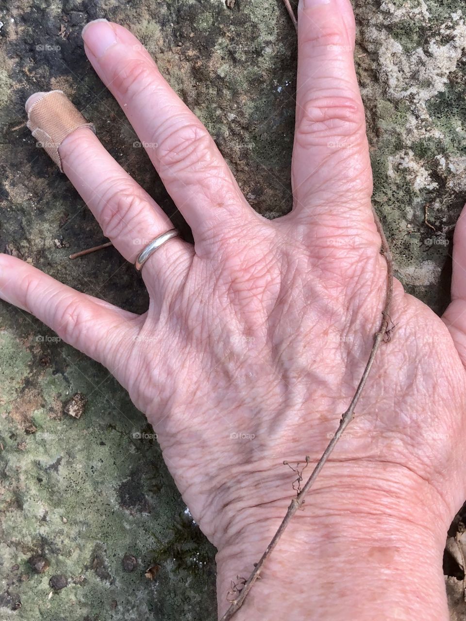 Grounding myself in the natural world 