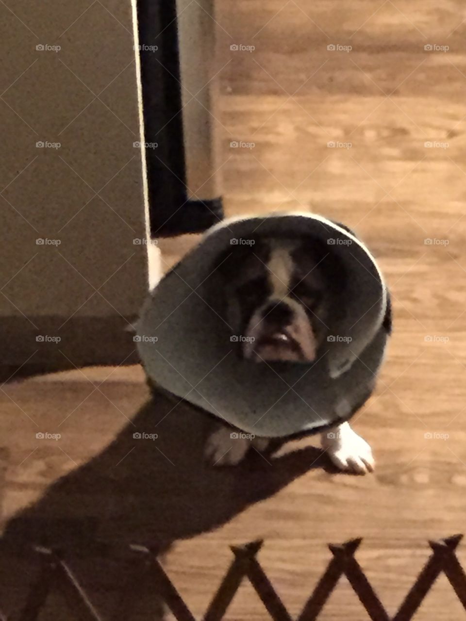 Sad cone head 