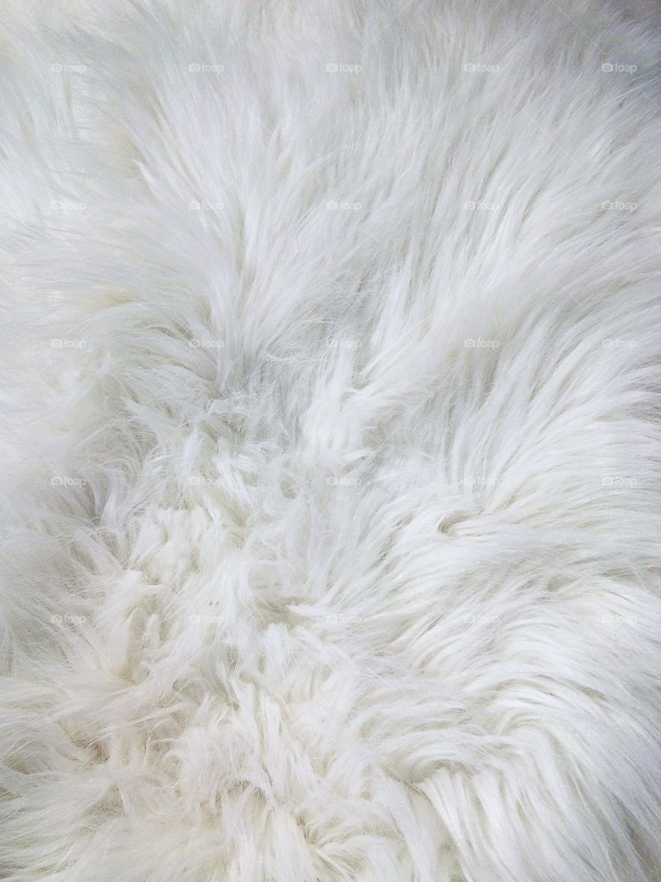 Fur texture