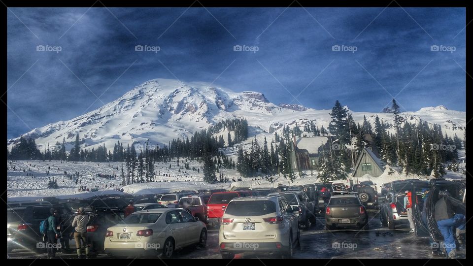 Mt. Rainier