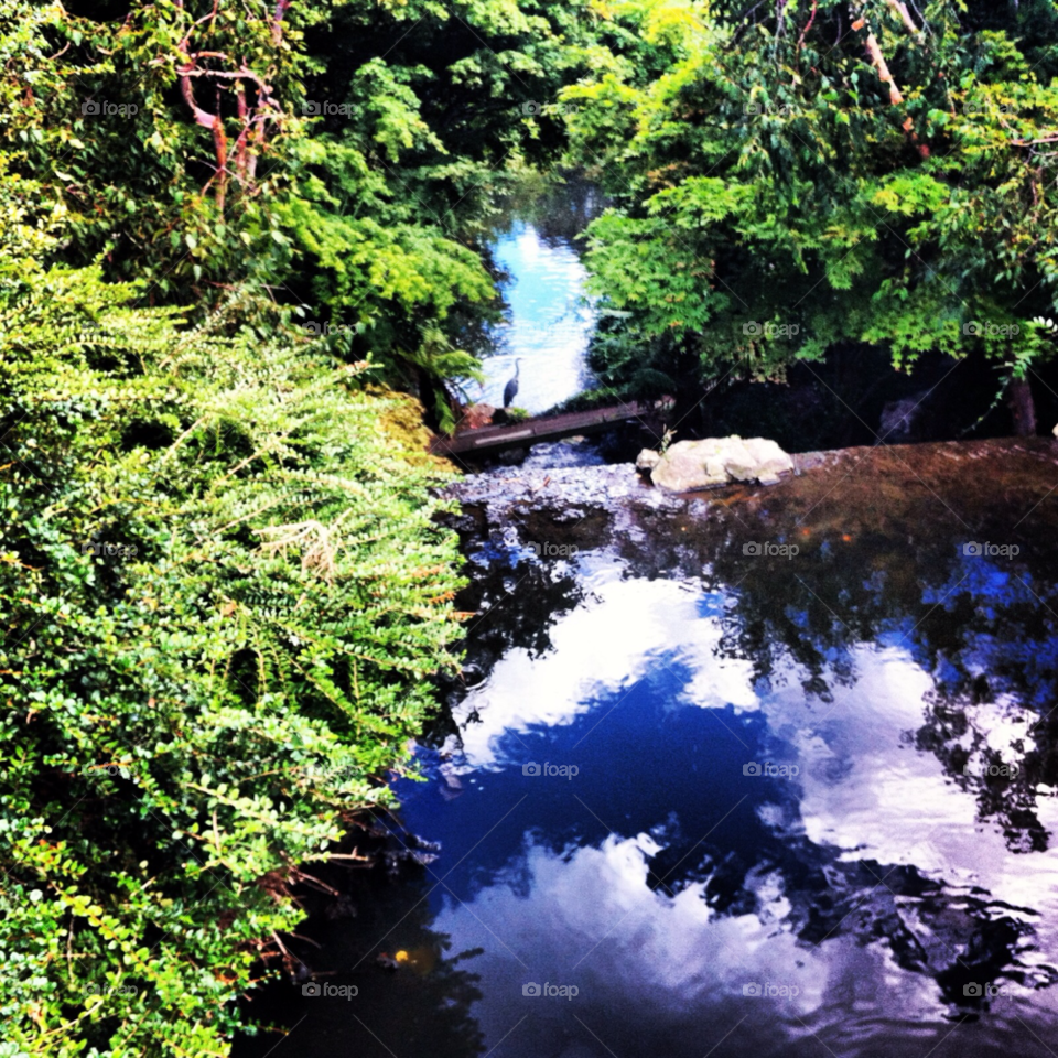 green nature pretty london by Zita