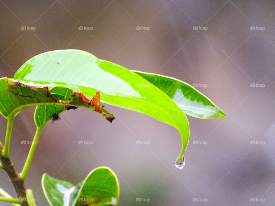 Ahh the monsoons. Amazing the way it makes you feel.