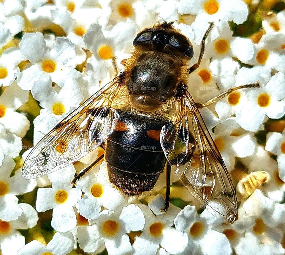 Spring is in the air