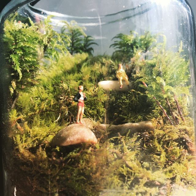 Terrarium girls