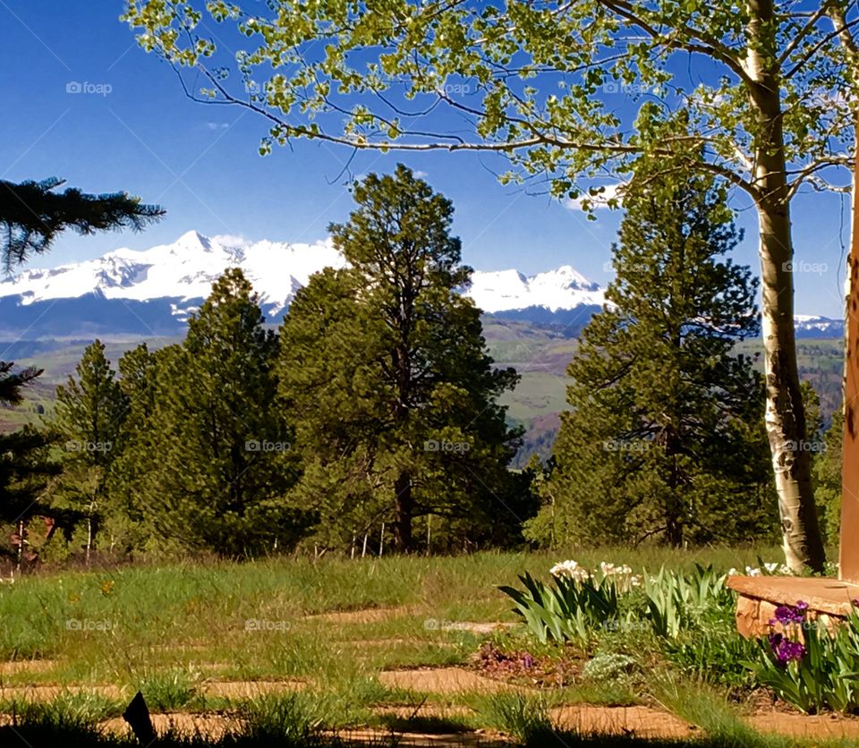 Mountain Scenes 