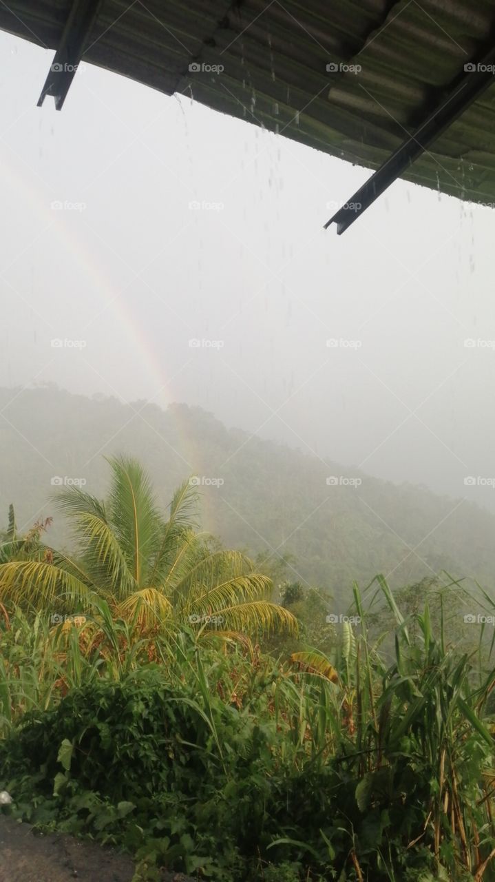 Rainhard and rainbow