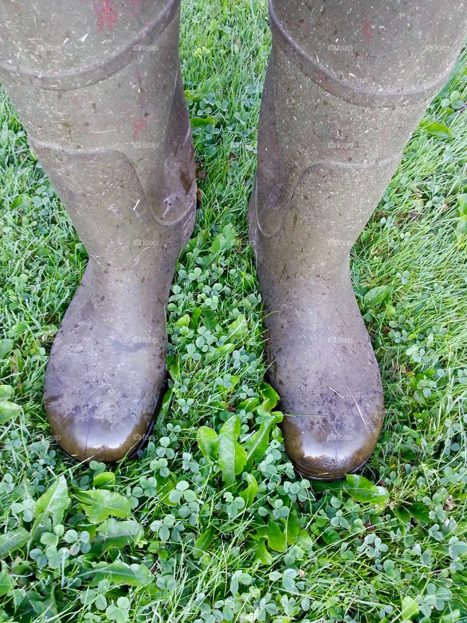 A rainy day in the garden. I borrowed my husbands rubber boots.