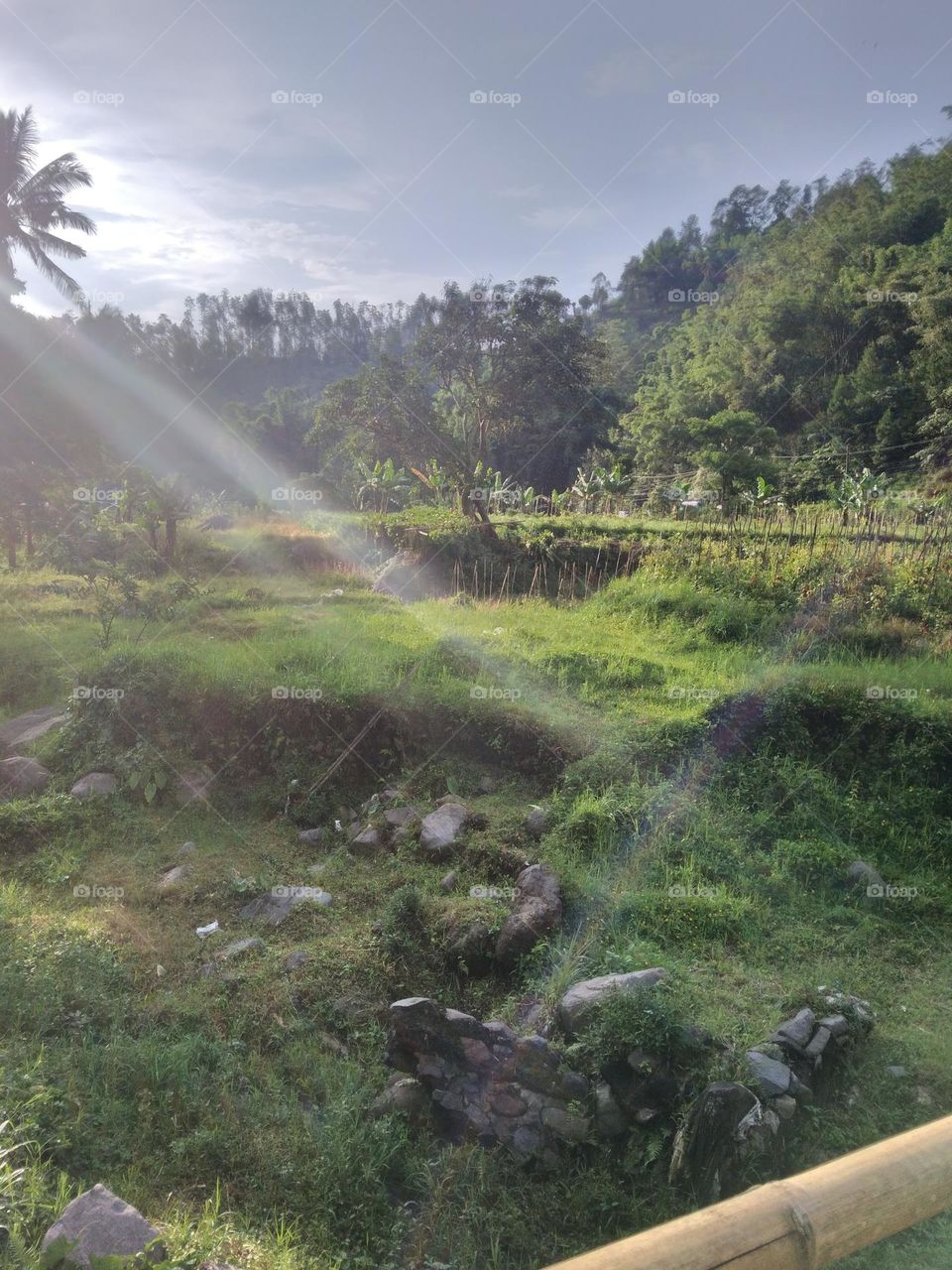 beautiful sunrise and beautiful green view