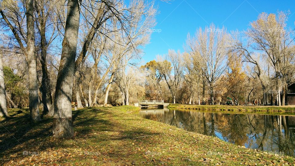 Falling Pond. Decided to explore and found this gem!