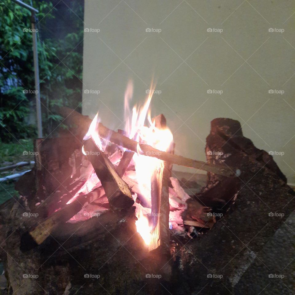 campfire wood night