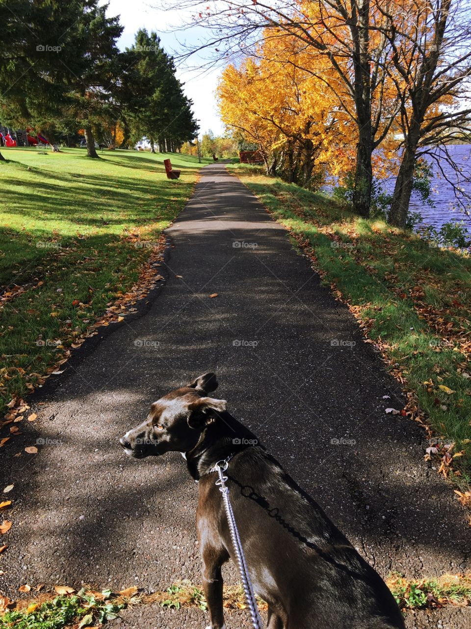 River walk with Lucy