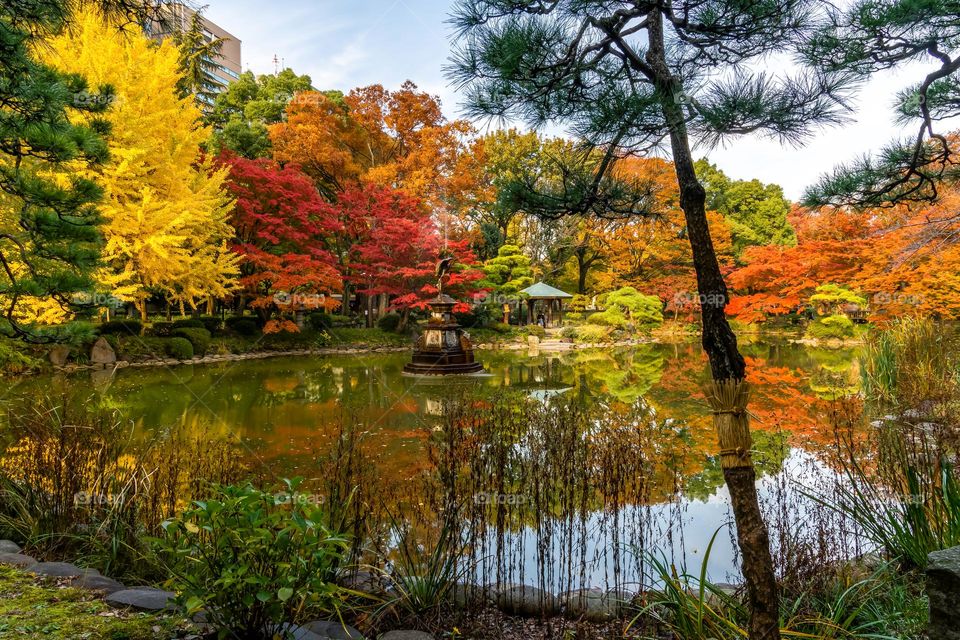 Zen Garden With Autumn Colors