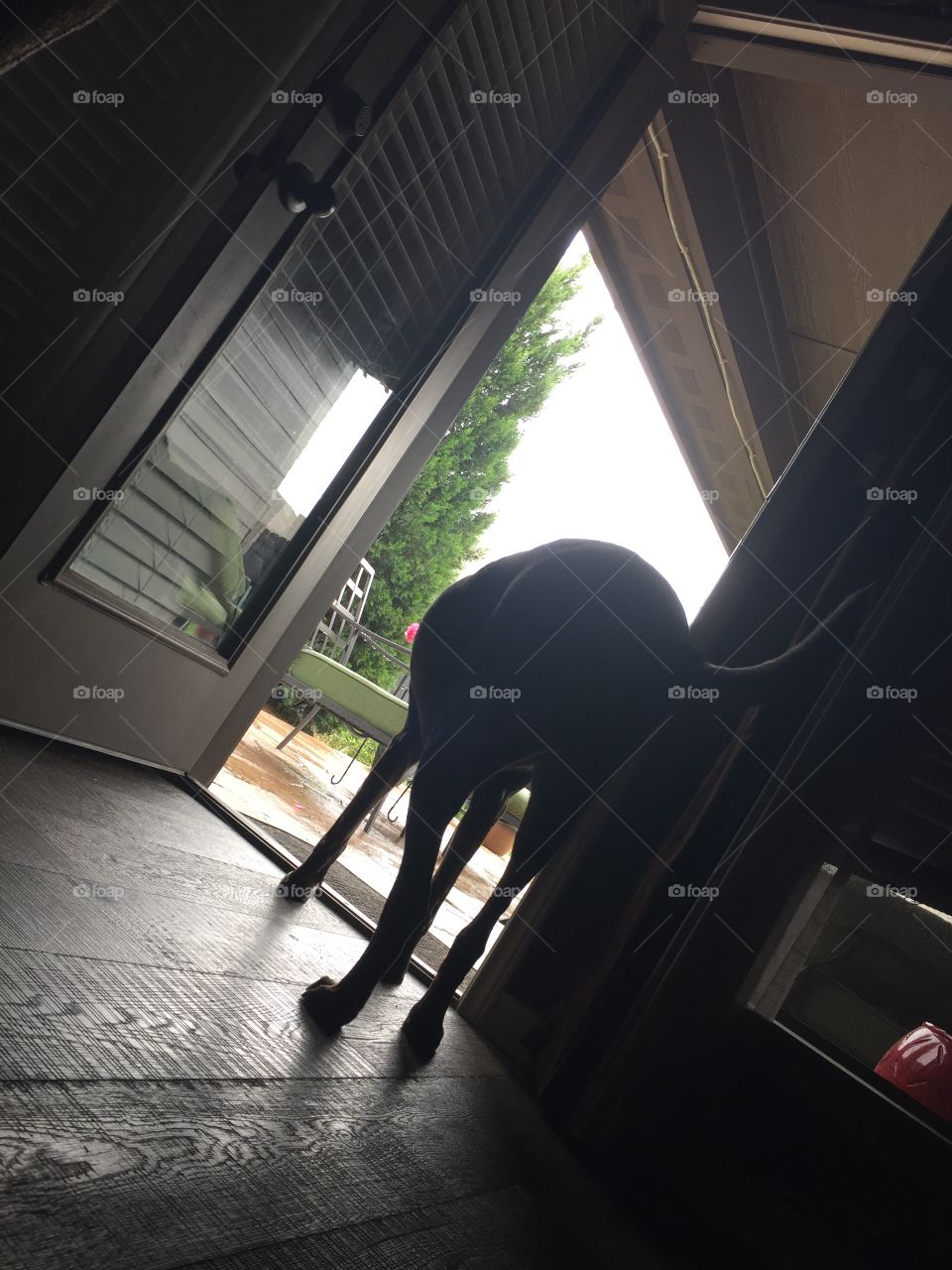 People, Light, Indoors, Subway System, Window