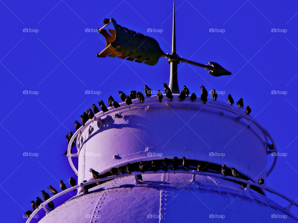 sky birds lighthouse coast by Raid1968