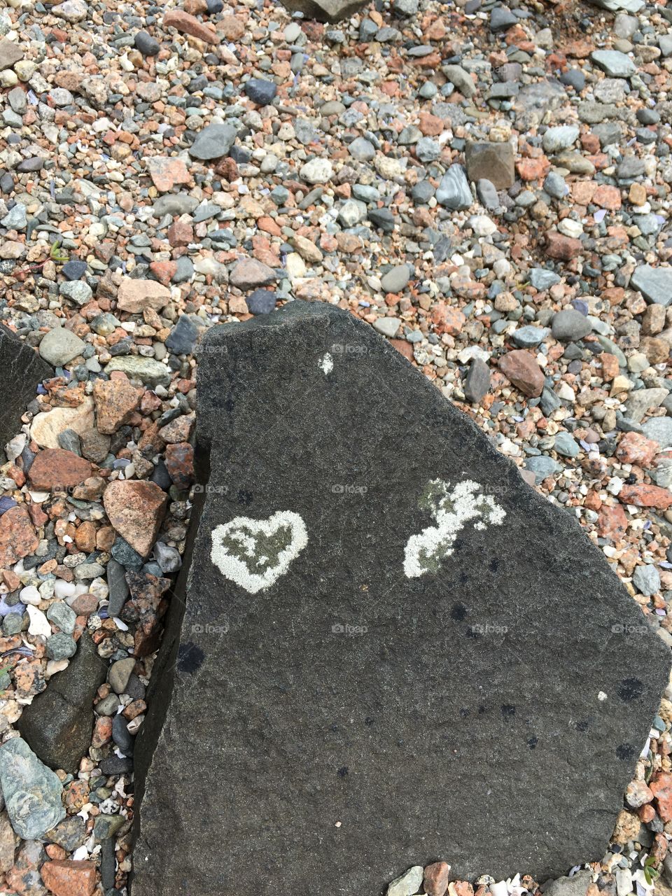 Natural heart on a rock