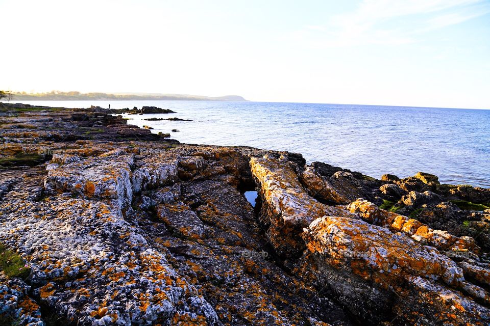 Beautiful nature by the ocean. Skånska kusten vid Vik