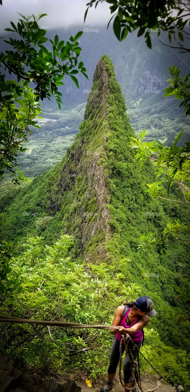 Most people will go to the summit of Olomana (peak #1). Fewer people will go to Paku'i (peak #2). The strongest, bravest, and determined hikers will head to Ahiki (peak #3).